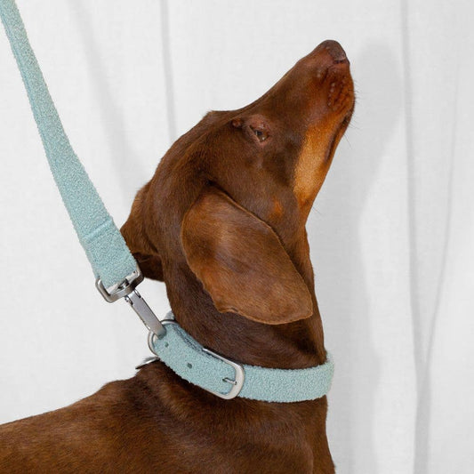 Boucle Collar Sage