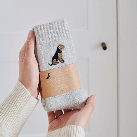 Dog Walking socks - Airedale / Lakeland / Welsh Terrier
