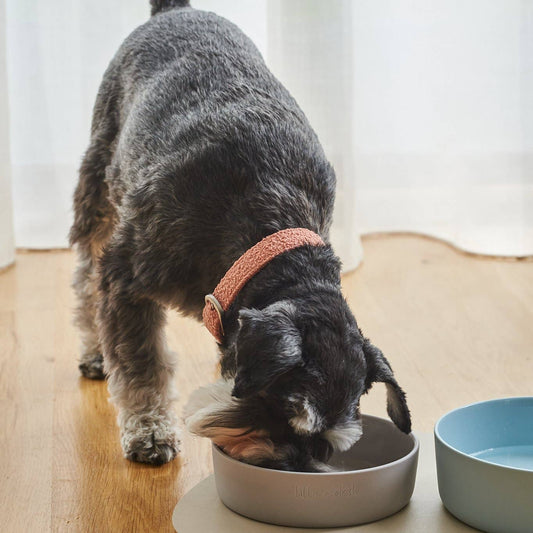 Boucle Collar Terracotta