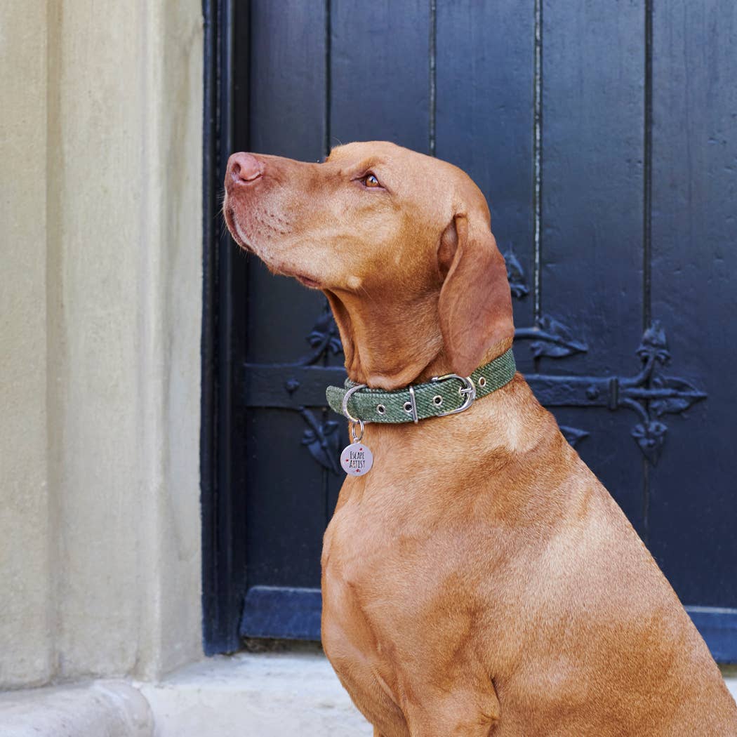 Dog ID Name Tag - "Escape Artist"