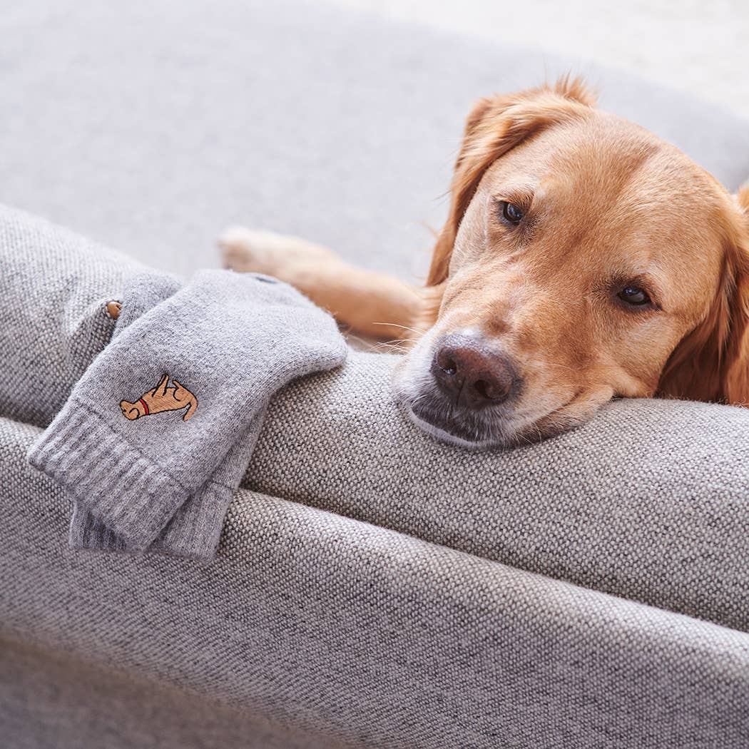 Dog Walking Socks - Golden Retriever