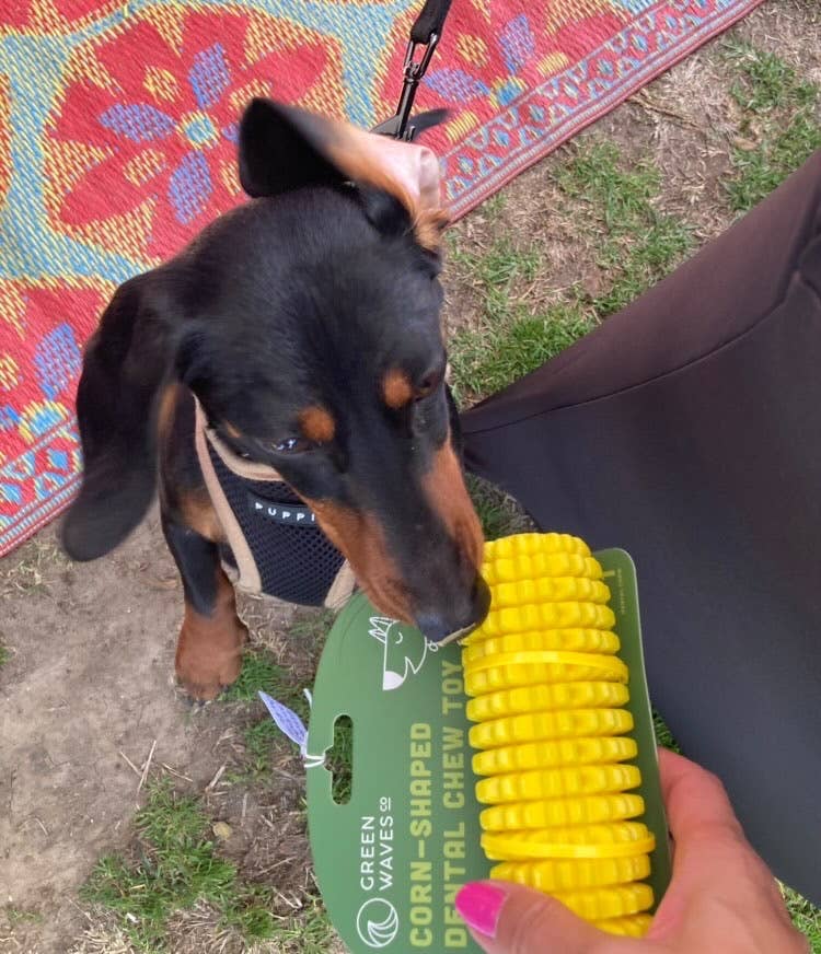 Corn-Shaped Dental Chew Toy: Yellow