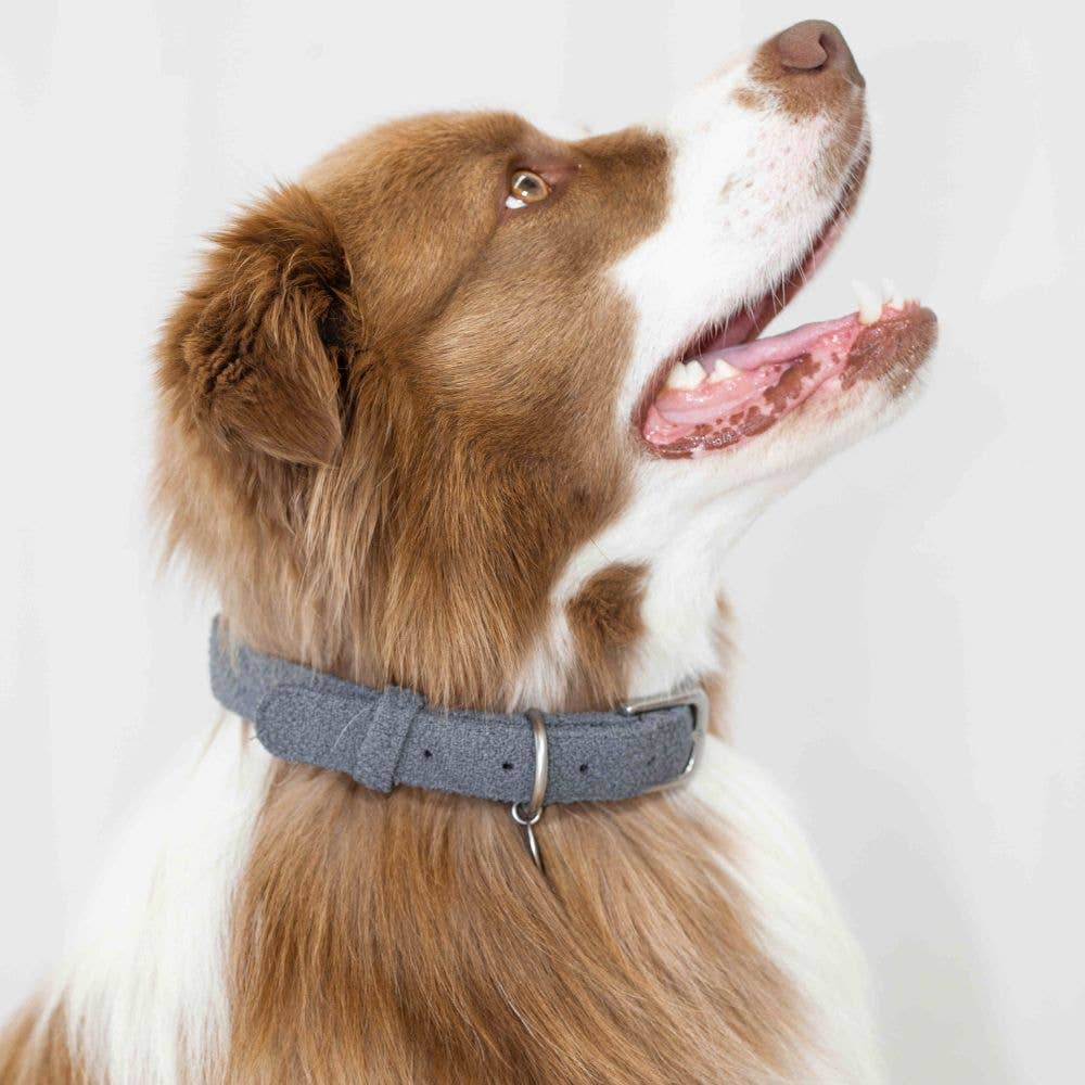 Boucle Collar Charcoal