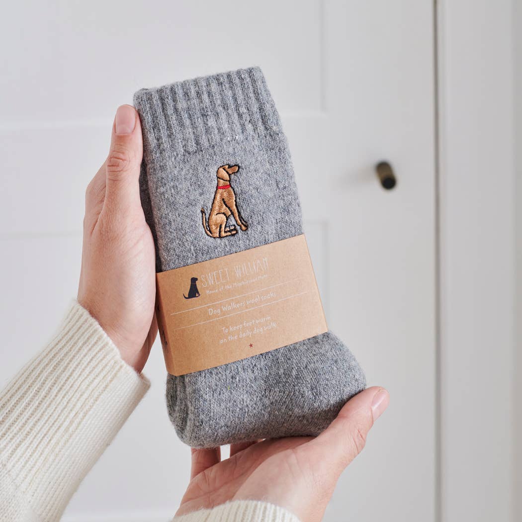 Dog Walking Socks - Vizsla