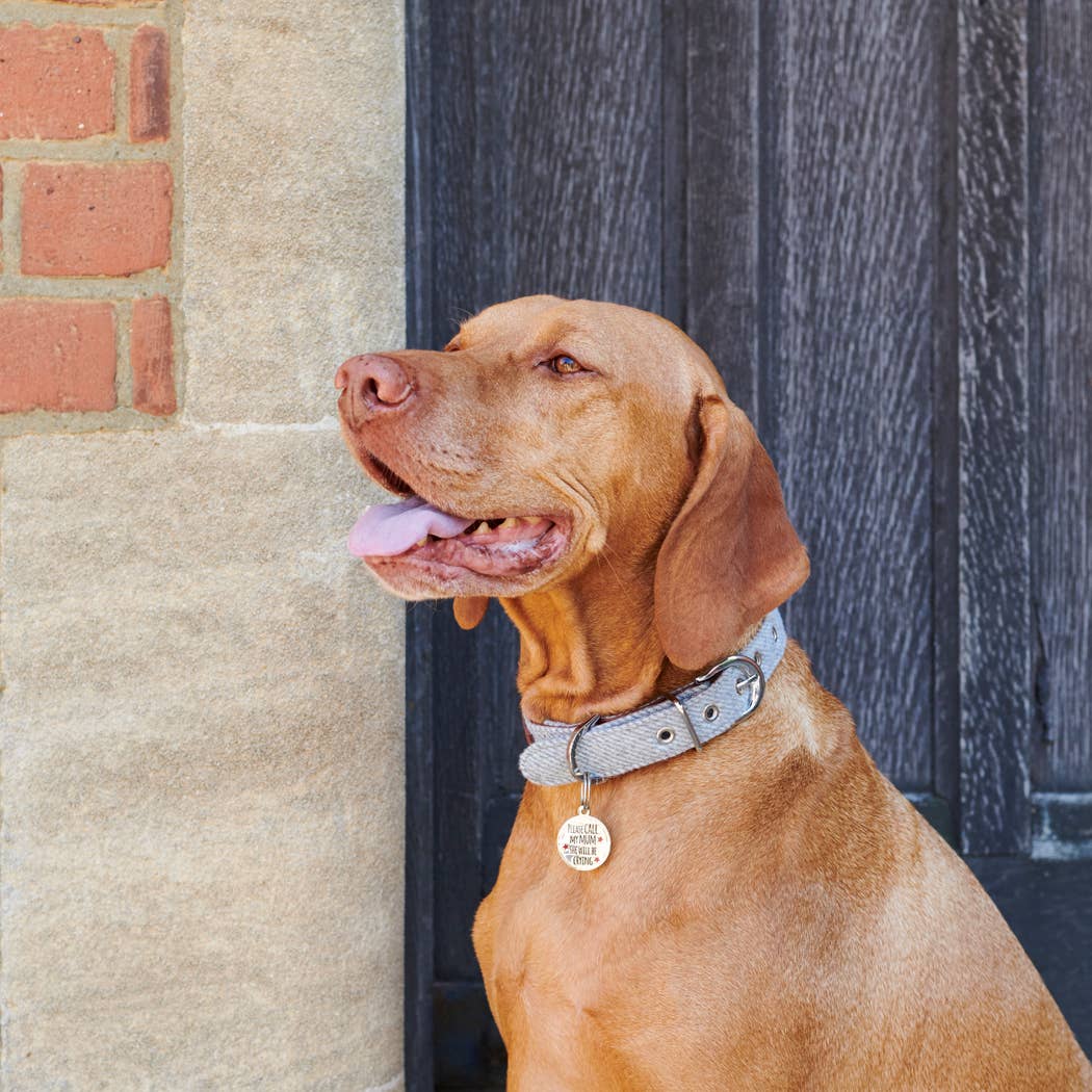 Dog ID Name Tag - "Please Call My Mum She Will Be Crying"