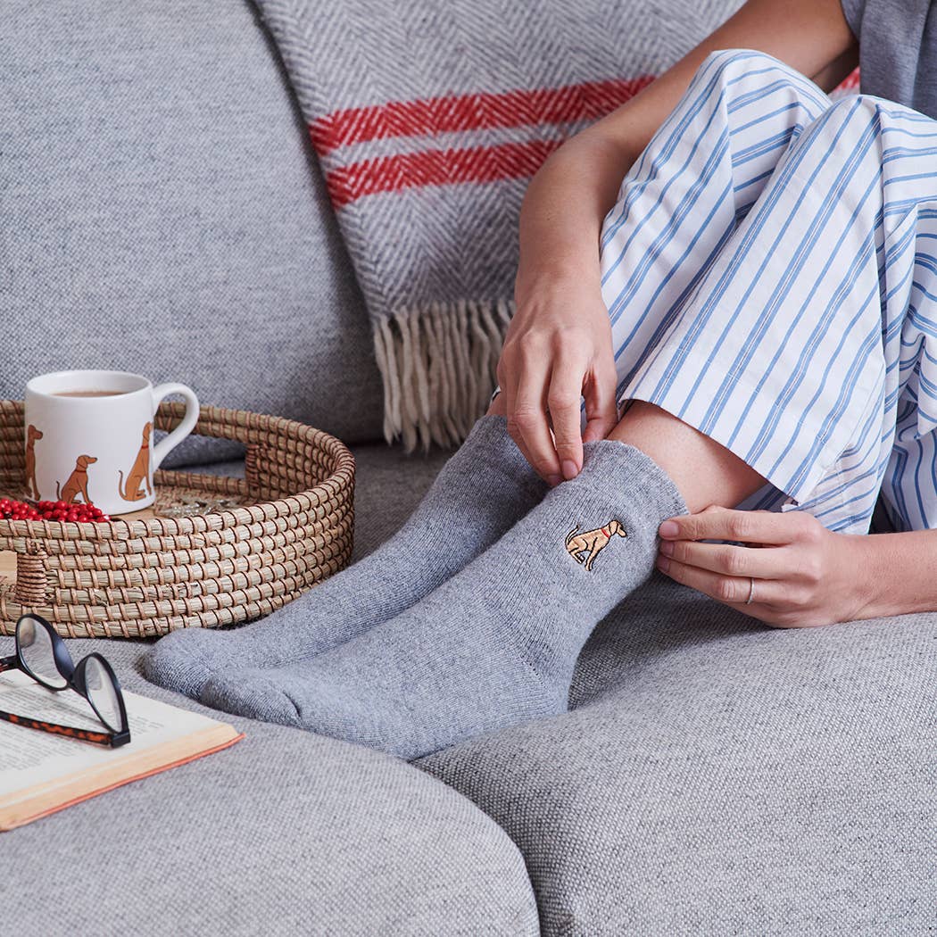 Dog Walking Socks - Vizsla